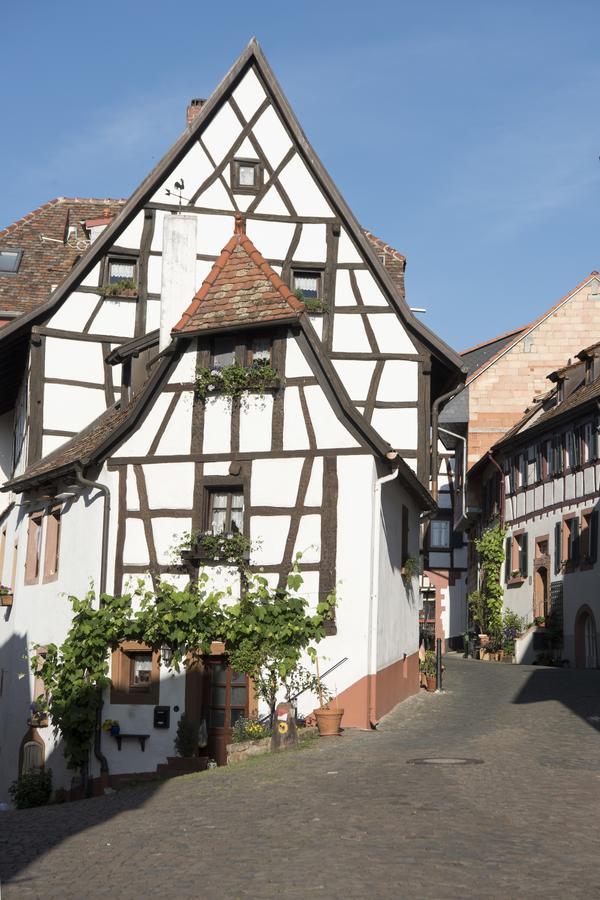 Burggarten Appartements 诺伊莱宁恩 外观 照片