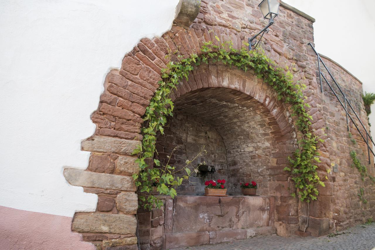 Burggarten Appartements 诺伊莱宁恩 外观 照片